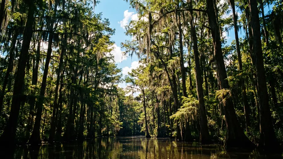 Louisiana jacuzzi hotel guide