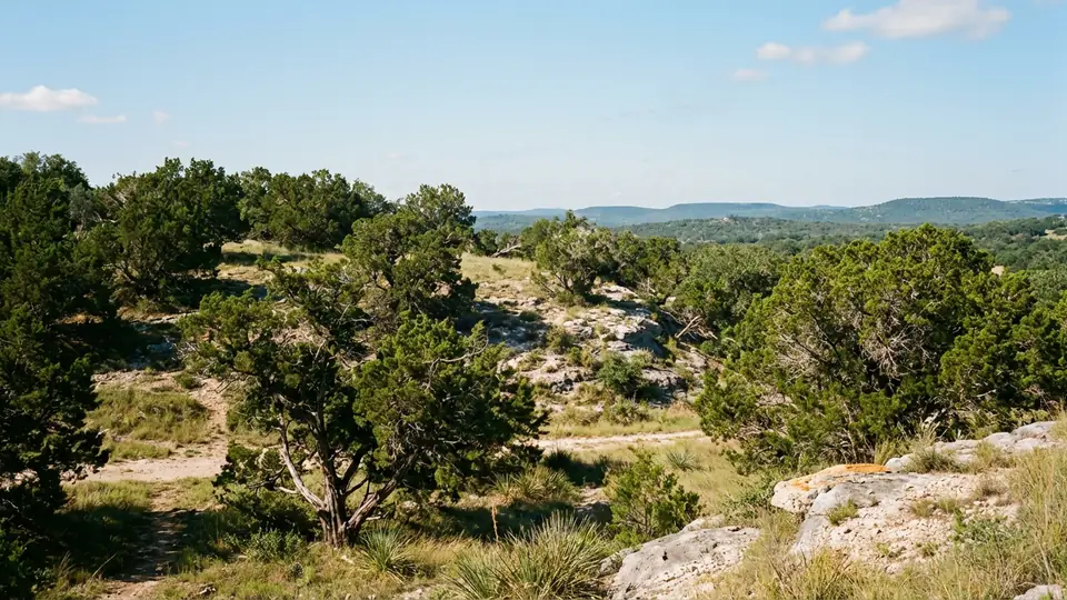 Texas jacuzzi hotel guide