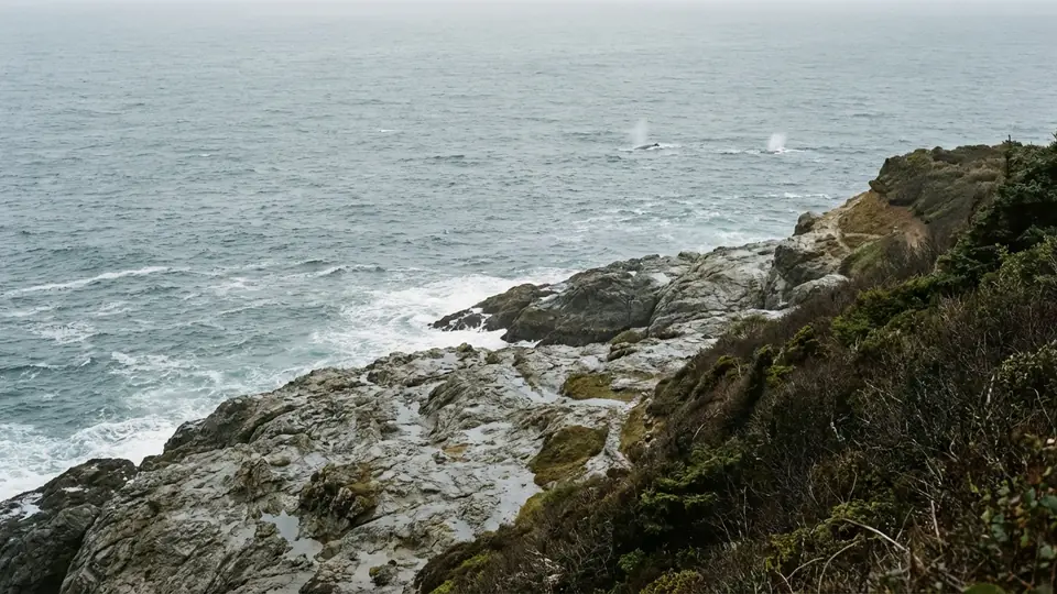 Depoe Bay hotel guide