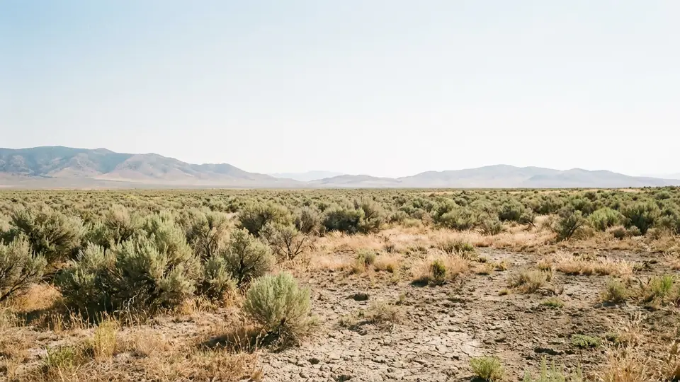Idaho statewide hotel guide