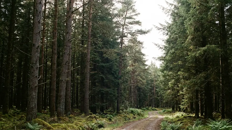 Cabins & Lodges with Hot Tub in Dumfries & Galloway hotel guide
