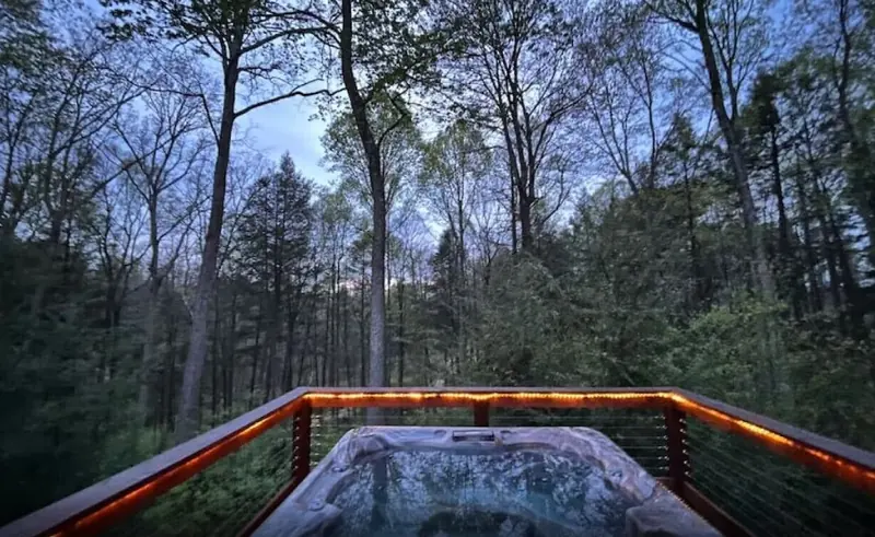 Cabin in Hico