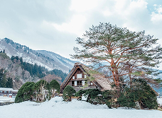 Ski-in, ski-out stays, cozy chalets, and après-ski experiences in Switzerland.